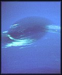 The Great Dark Spot